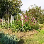 Appartamento Oltrebosco *