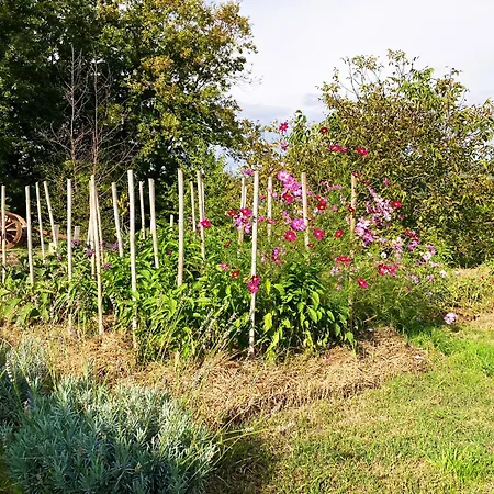 Lägenhet Oltrebosco *