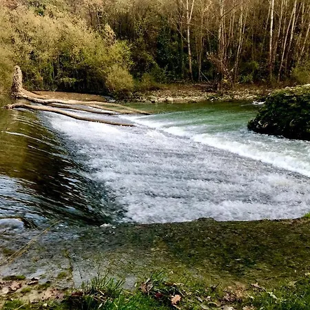 Oltrebosco *