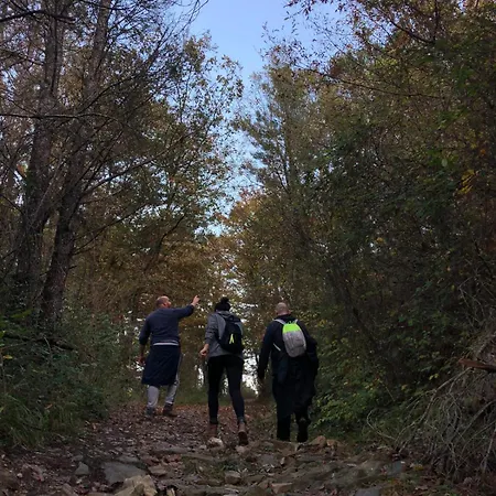 Oltrebosco * Valfabbrica