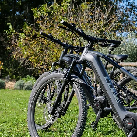 Apartamento Oltrebosco Valfabbrica