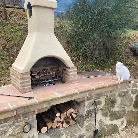 Oltrebosco